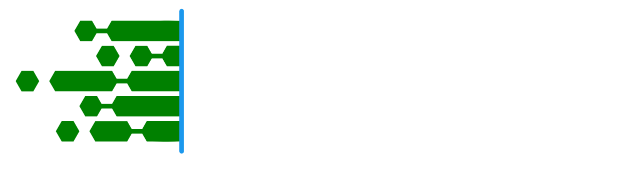 digital worms dubai