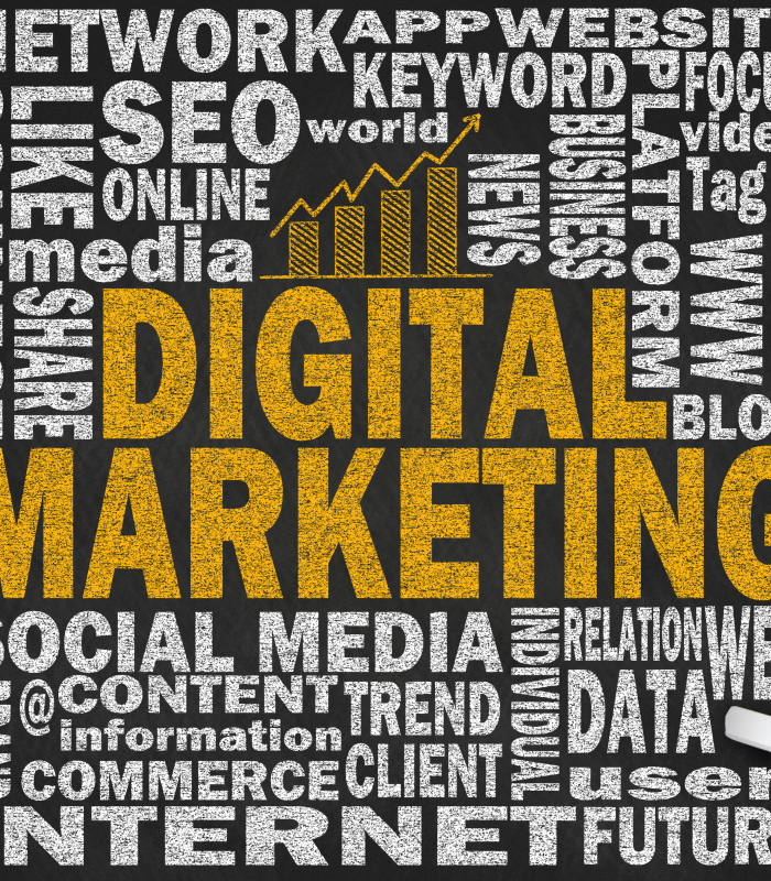 digital marketing services in dubai- digital worms